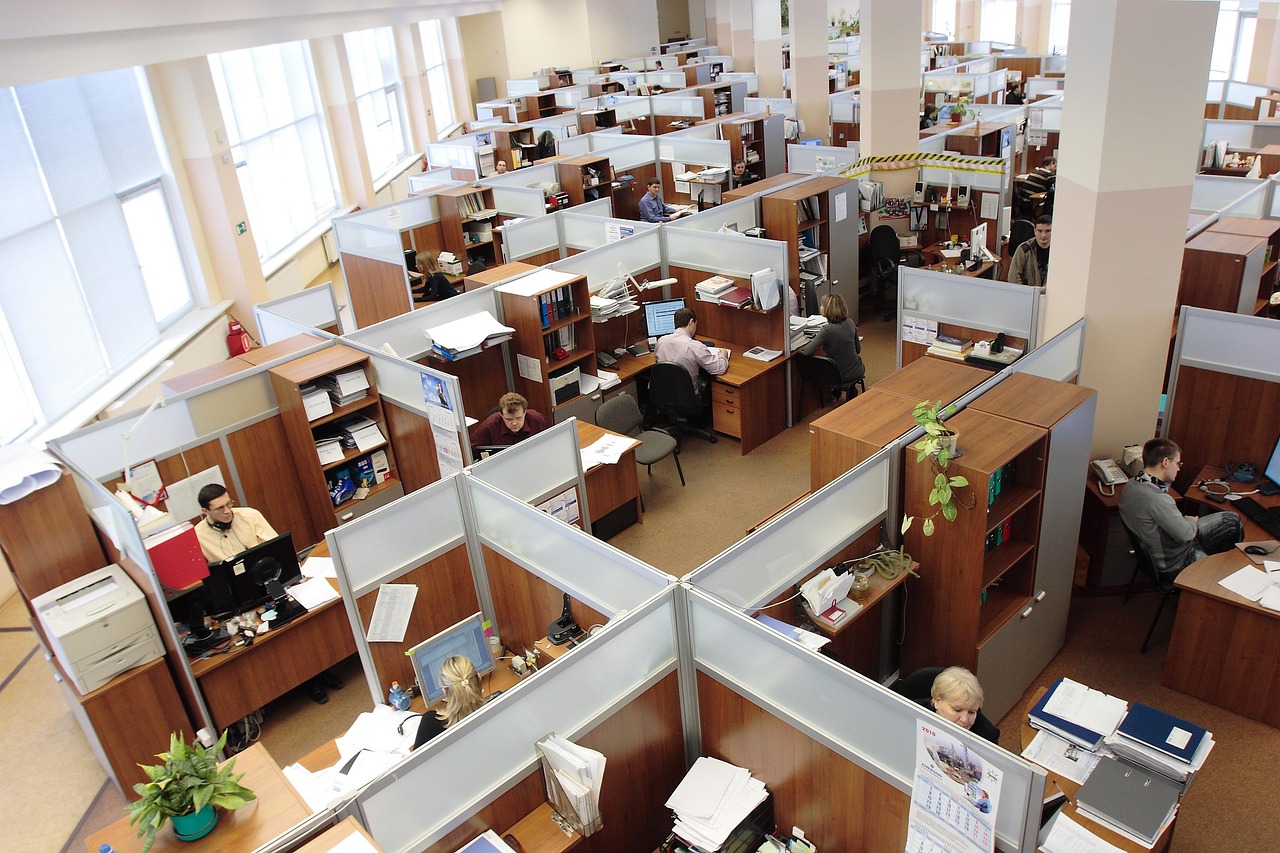 employees work on their routine tasks